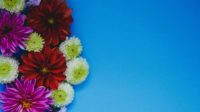 严格的监管 严格的监管