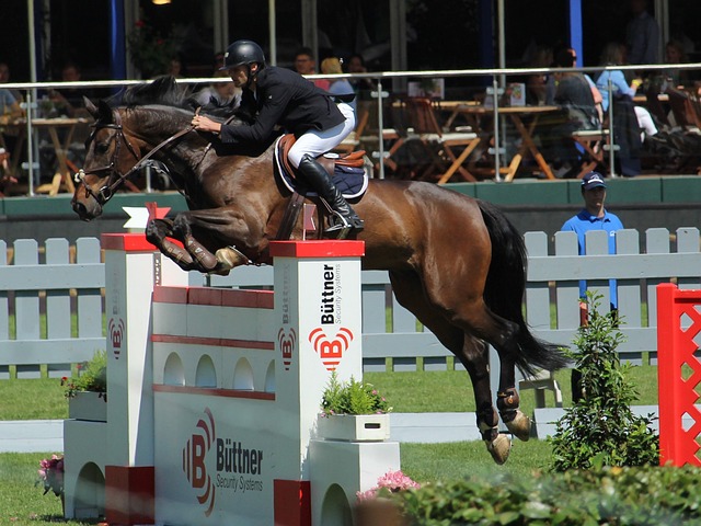 我们可以回 我们可以回