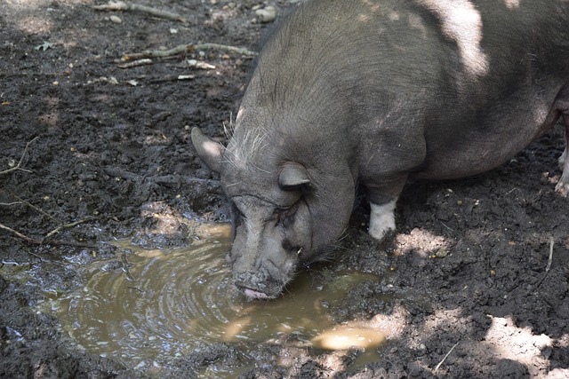 员立足之本 员立足之本