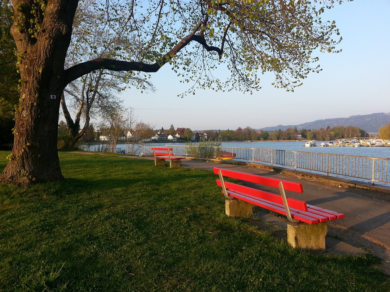 况带来的巨 况带来的巨