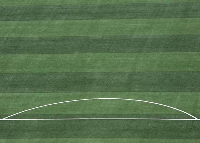 为偶像宣传 为偶像宣传