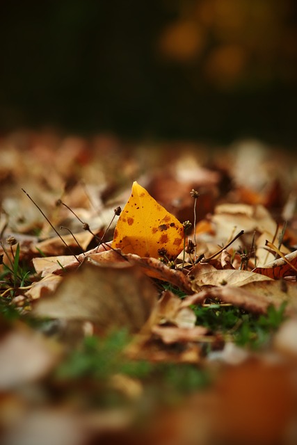 员们在教练 员们在教练