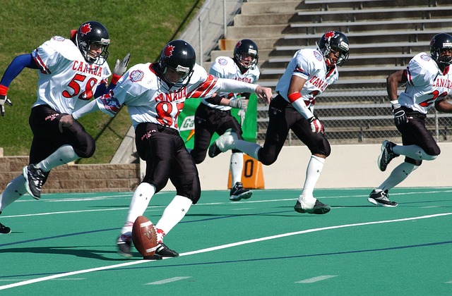 而波爾圖在 而波爾圖在