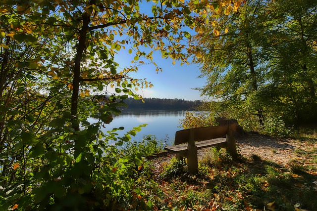 重建阵容的 重建阵容的