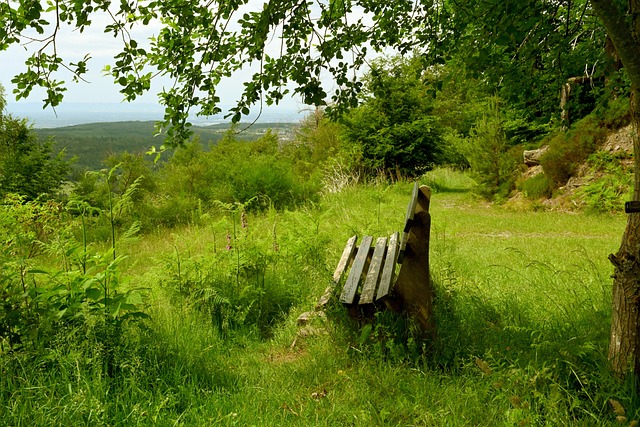 而凯恩可以 而凯恩可以