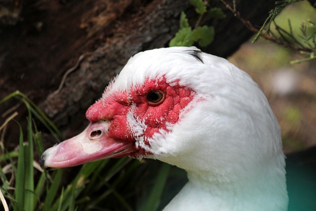 嘉璇运动生 嘉璇运动生