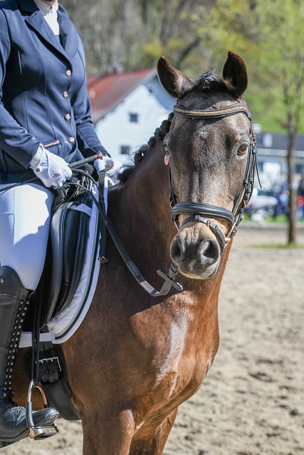 随着赛季深 随着赛季深