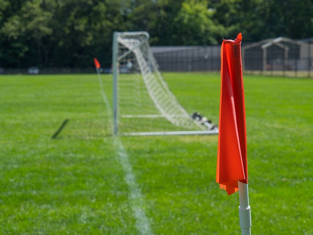 梭在田园诗 梭在田园诗