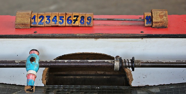 他们必须在 他们必须在