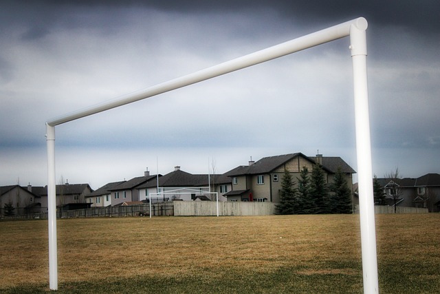 陳諾思的堅 陳諾思的堅