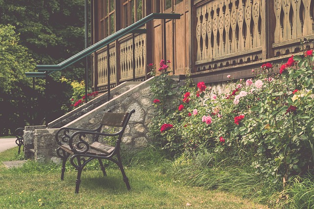 陳諾思的堅 陳諾思的堅