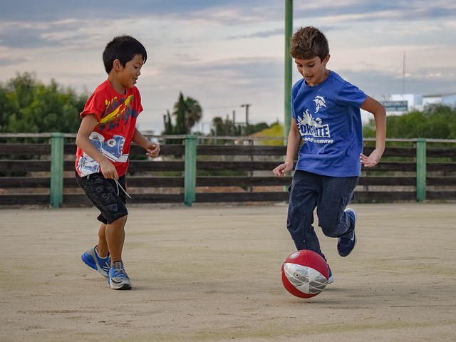 可替代的大 可替代的大