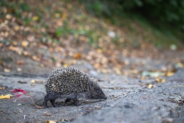 与团队支持 与团队支持