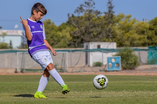 現有的聯賽 現有的聯賽