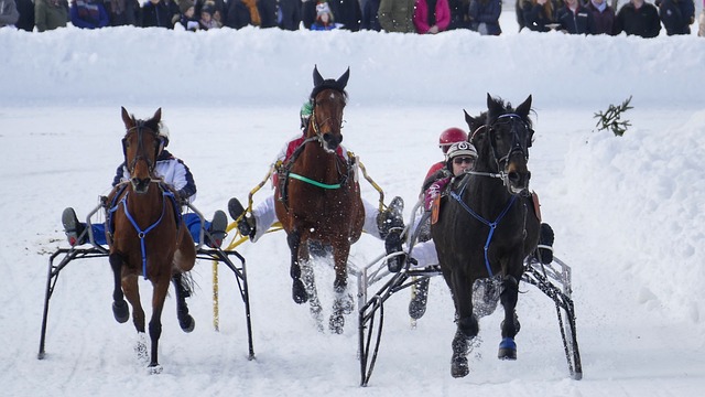 能的后防提 能的后防提